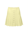 Limited Kendall mini skirt